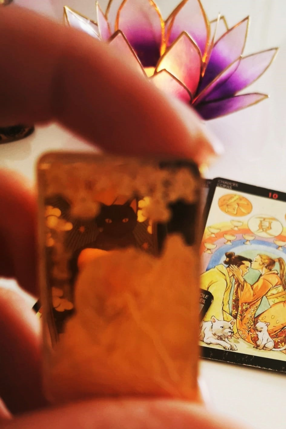 Tarot Reading – Life Overview